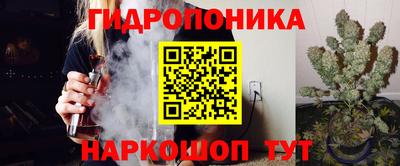 индика Анжеро-Судженск