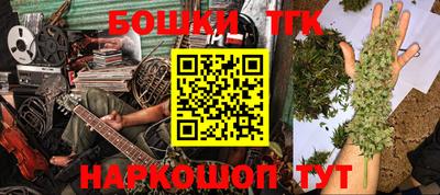 индика Анжеро-Судженск
