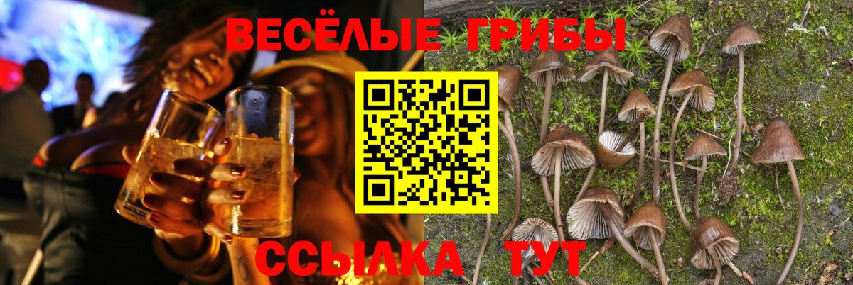 Галлюциногенные грибы GOLDEN TEACHER  Вход с VPN  Галлюциногенные грибы мицелий  Артёмовский 